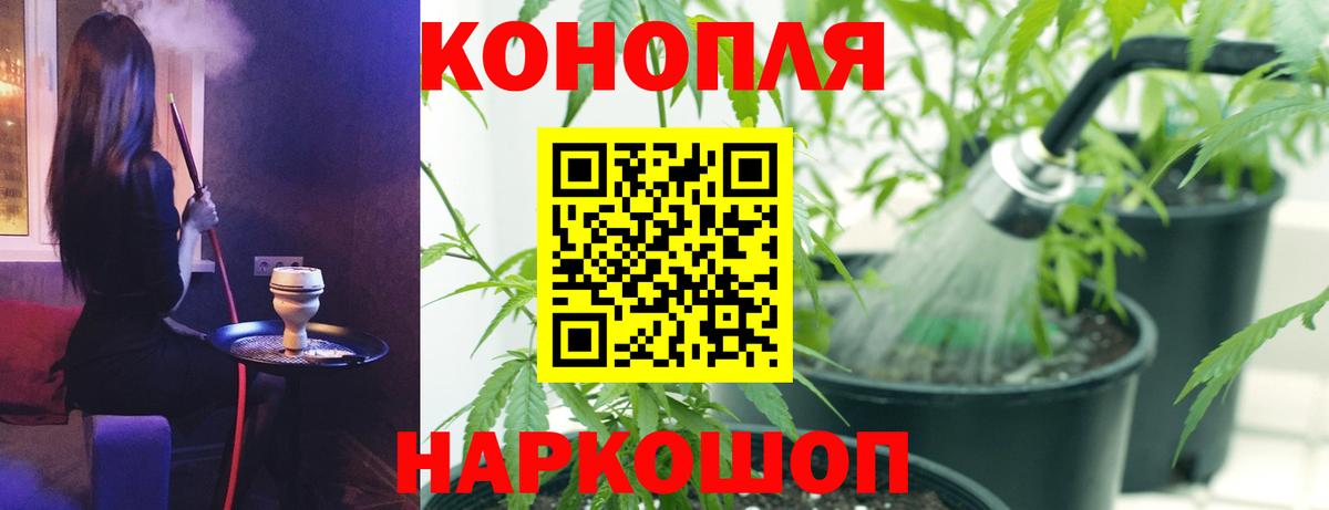 Шишки марихуана MAZAR Назрань